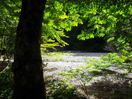 f:id:o-uiri:20120805143616j:image:w360