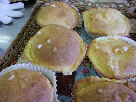 f:id:o-uiri:20120922123254j:image:w360