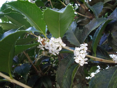 f:id:o-uiri:20121022080006j:image:w360 f:id:o-uiri:20121022080006j:image:w360