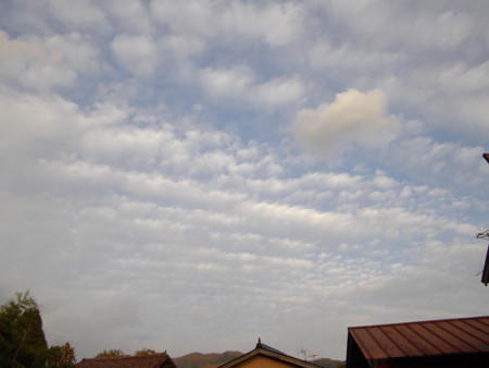 f:id:o-uiri:20121113162629j:image:w360 f:id:o-uiri:20121113162629j:image:w360