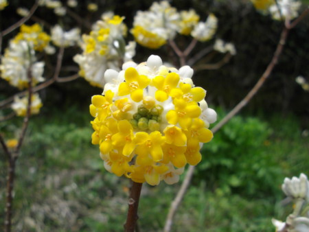 f:id:o-uiri:20130410132122j:image:w360