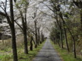 茅部神社