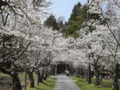 茅部神社