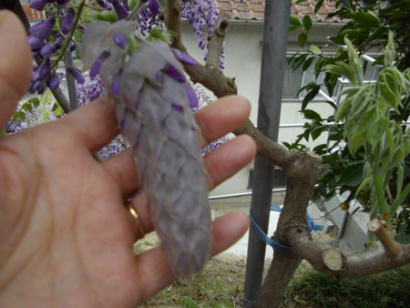 f:id:o-uiri:20130423121457j:image:w360
