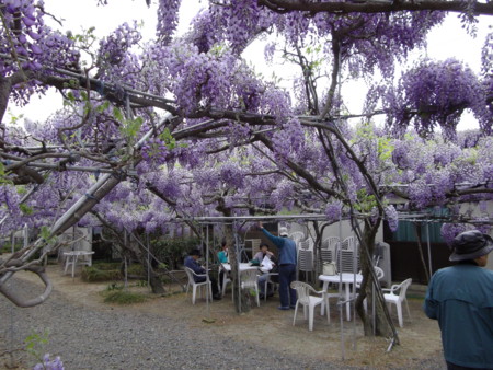 f:id:o-uiri:20130423121655j:image:w360