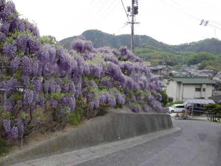 f:id:o-uiri:20130423121746j:image:w360