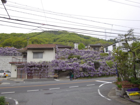 f:id:o-uiri:20130423122041j:image:w360