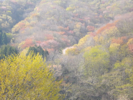 f:id:o-uiri:20130429082320j:image:w360