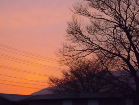 f:id:o-uiri:20130430190217j:image:w360