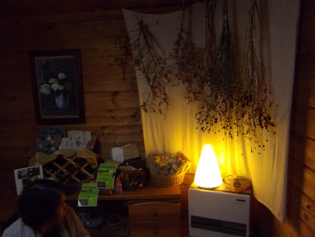 f:id:o-uiri:20130502183515j:image:w360