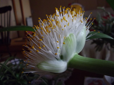 f:id:o-uiri:20131101071547j:image:w360