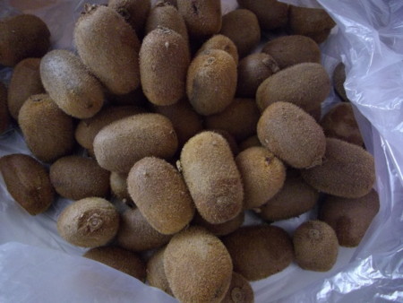 f:id:o-uiri:20131204101825j:image:w200