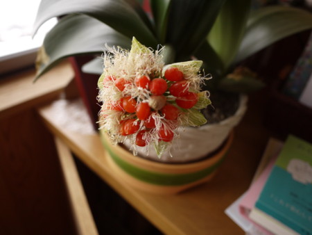 f:id:o-uiri:20140117154309j:image:w360