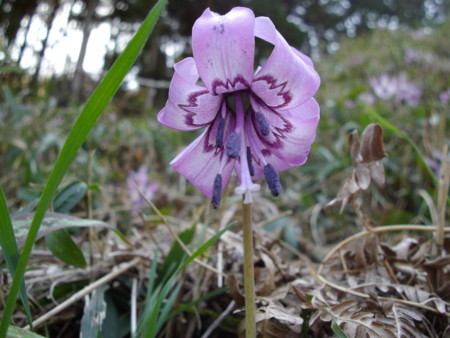 f:id:o-uiri:20140411135738j:image:w500