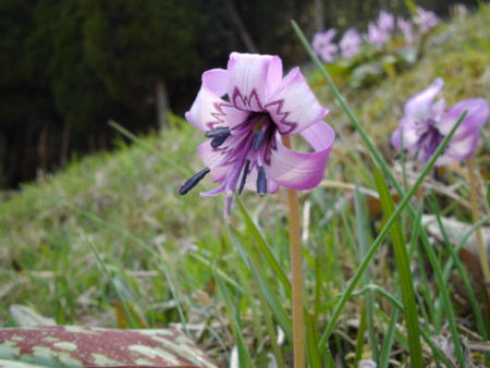 f:id:o-uiri:20140411140027j:image:w500