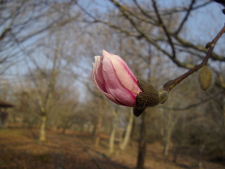 f:id:o-uiri:20140417081139j:image:w360