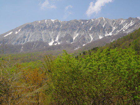 f:id:o-uiri:20140502134429j:image:w200