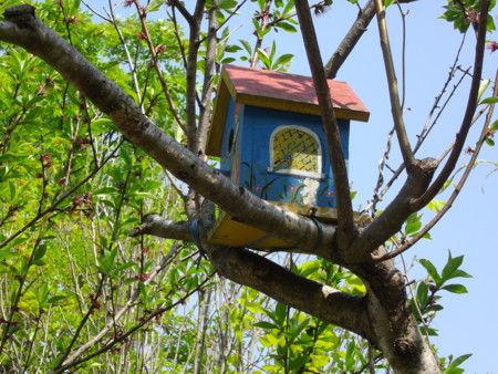 f:id:o-uiri:20140502141602j:image:w200