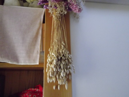 f:id:o-uiri:20140511133112j:image:w200