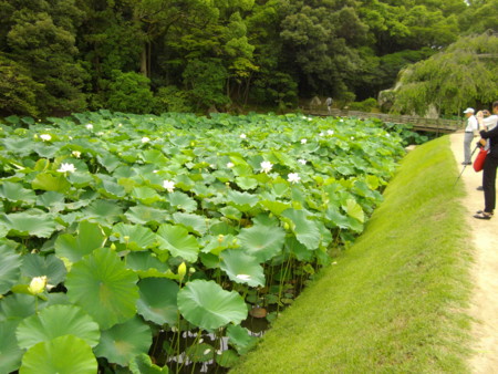 f:id:o-uiri:20140705112051j:image:w300