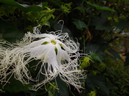 f:id:o-uiri:20140724062537j:image:w360 f:id:o-uiri:20140724062537j:image:w360