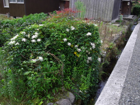 f:id:o-uiri:20140724062651j:image:w360 f:id:o-uiri:20140724062651j:image:w360