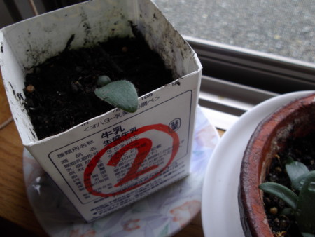 f:id:o-uiri:20140827144523j:image:w360