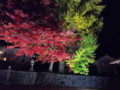 徳田神社　ライトアップ