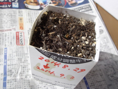 f:id:o-uiri:20141111115111j:image:w360