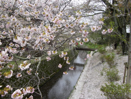 f:id:o-uiri:20150407134828j:image:w360