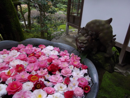f:id:o-uiri:20150407142438j:image:w360