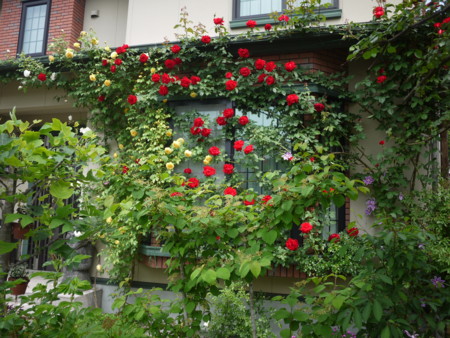 f:id:o-uiri:20150530100534j:image:w360