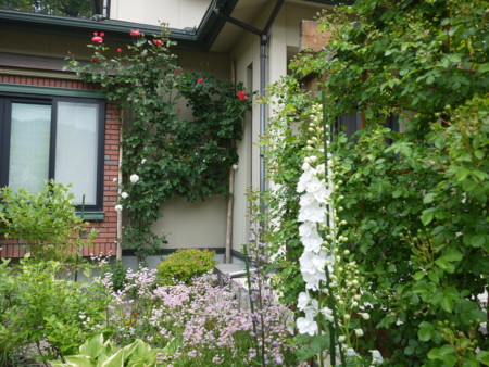 f:id:o-uiri:20150530100648j:image:w360