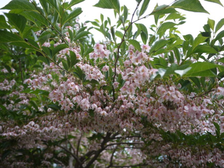 f:id:o-uiri:20150530100920j:image:w360