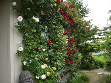 f:id:o-uiri:20150530102629j:image:w360