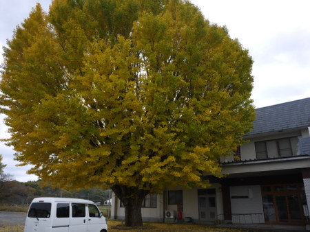 f:id:o-uiri:20151103092423j:image:w360