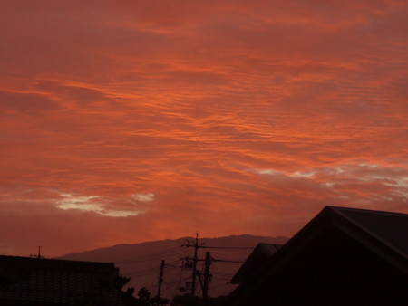 f:id:o-uiri:20161031061710j:image:w360