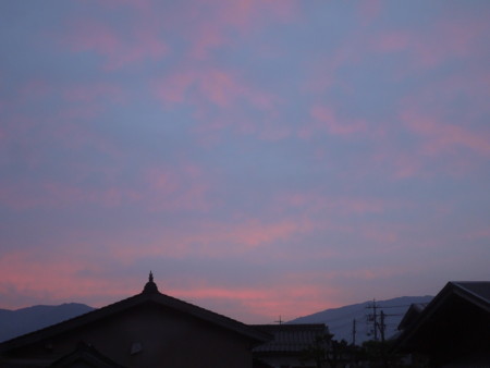 f:id:o-uiri:20161108062421j:image:w260