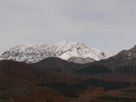 f:id:o-uiri:20161110122208j:image:w360