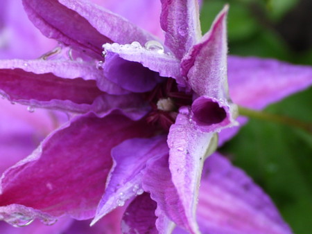 f:id:o-uiri:20170525081704j:image:w360