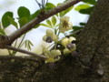 20180430125439