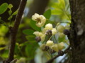20180430125506