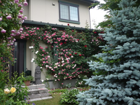 f:id:o-uiri:20180609093404j:image:w360