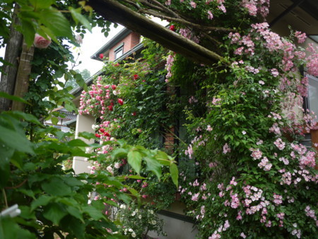 f:id:o-uiri:20180609093423j:image:w360