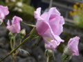 20180609094702