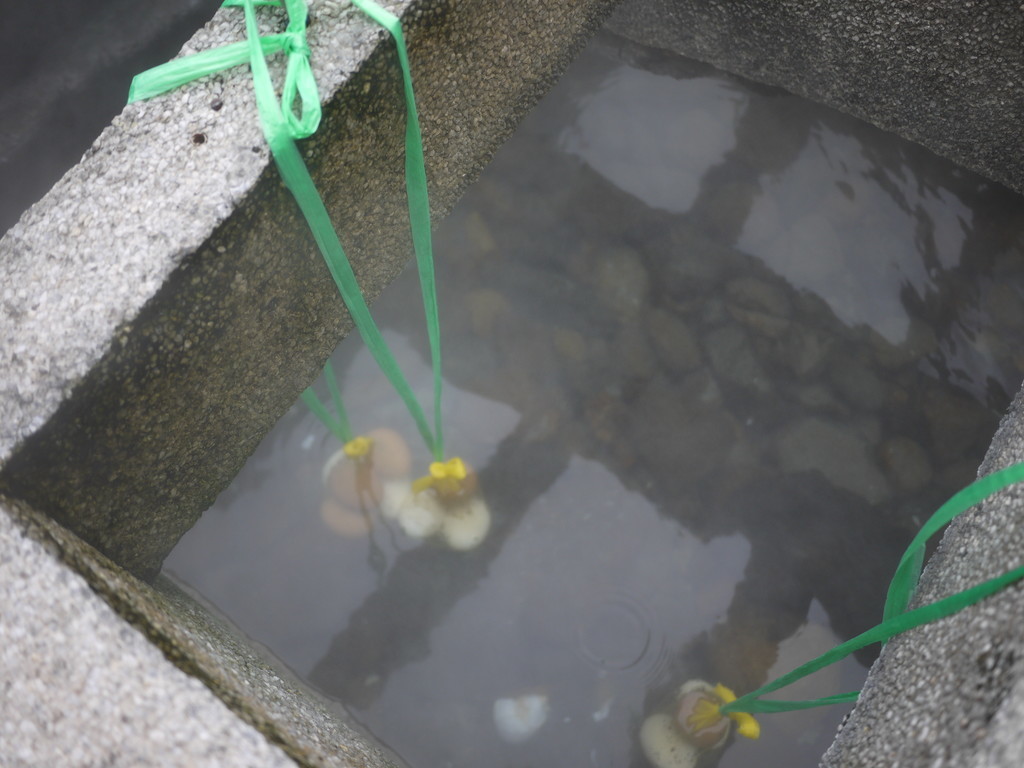 f:id:o-uiri:20190221143114j:plain f:id:o-uiri:20190221143114j:plain