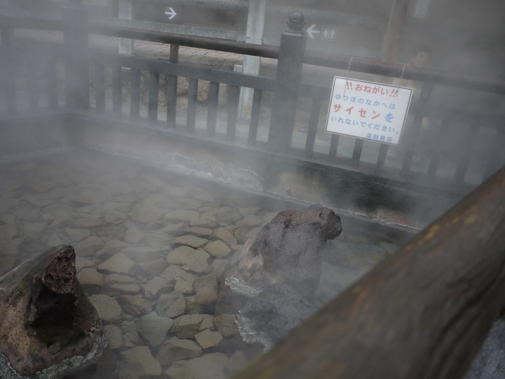 f:id:o-uiri:20190221143205j:plain f:id:o-uiri:20190221143205j:plain