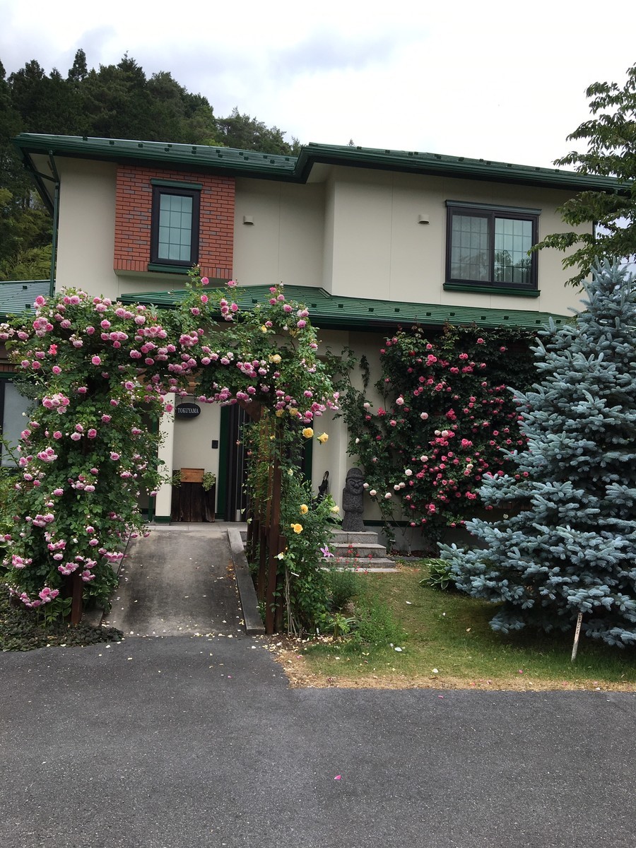 f:id:o-uiri:20190614102347j:plain f:id:o-uiri:20190614102347j:plain