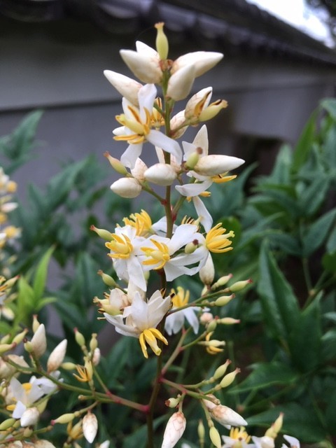 f:id:o-uiri:20190720170457j:plain f:id:o-uiri:20190720170457j:plain