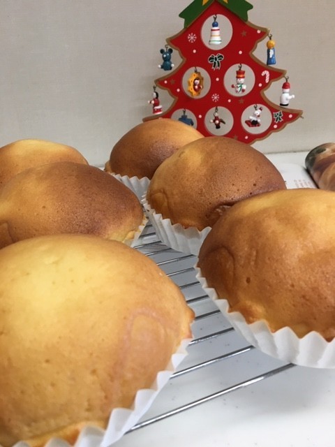 f:id:o-uiri:20191223123641j:plain